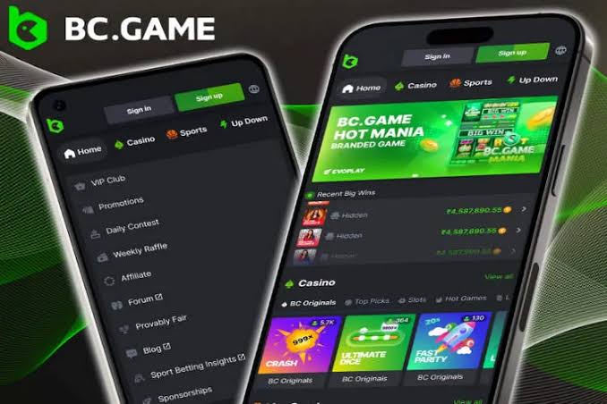 Comprehensive Guide to Payment Options at BC.Game Comprehensive Guide to Payment Options at BC.Game